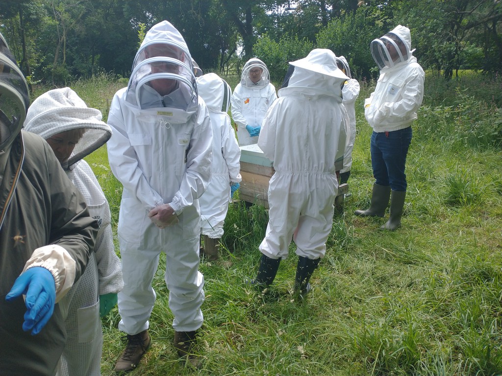 beekeepers