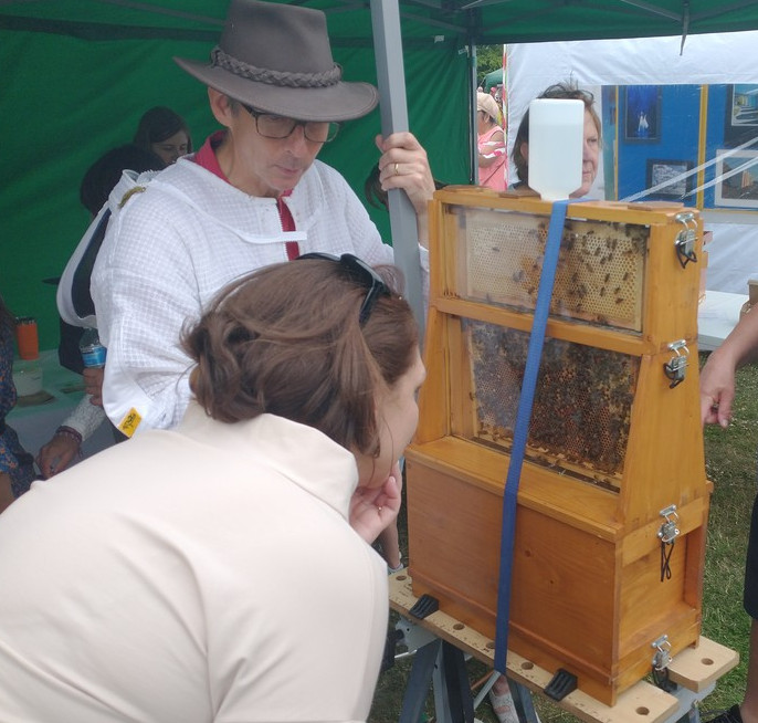 person looking intently at the observation hive