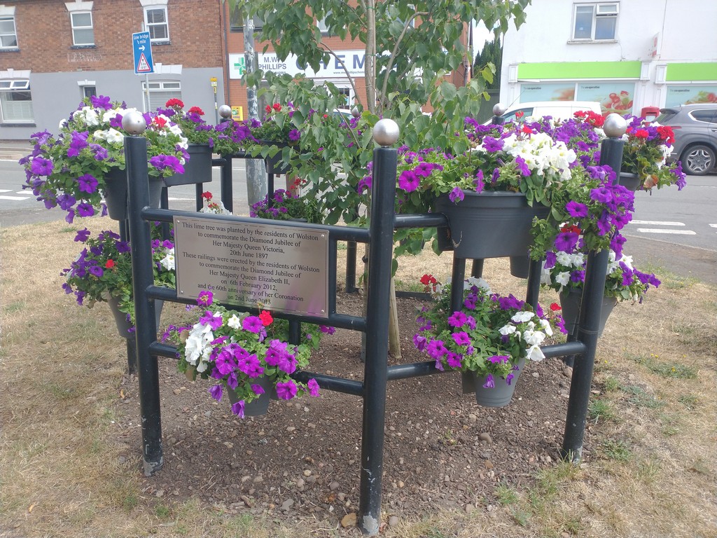 Floral display in the centre of Wolston