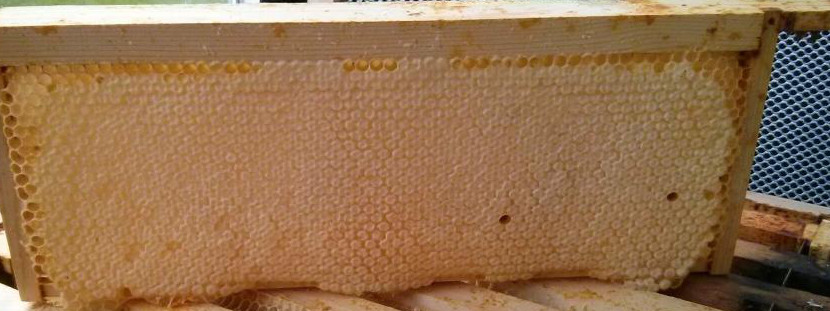 super frame with virtually all cells capped